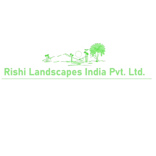 untitled design removebg preview