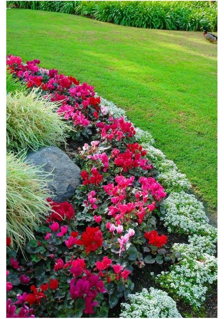 Home whatsapp image 2025 09 09 at 10.38.32 (3)